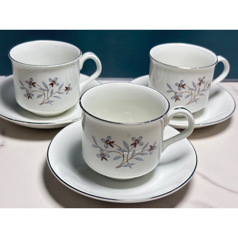 Salem Whimsy International Ironstone Tea Cup Saucer Set 3 Blue Floral England